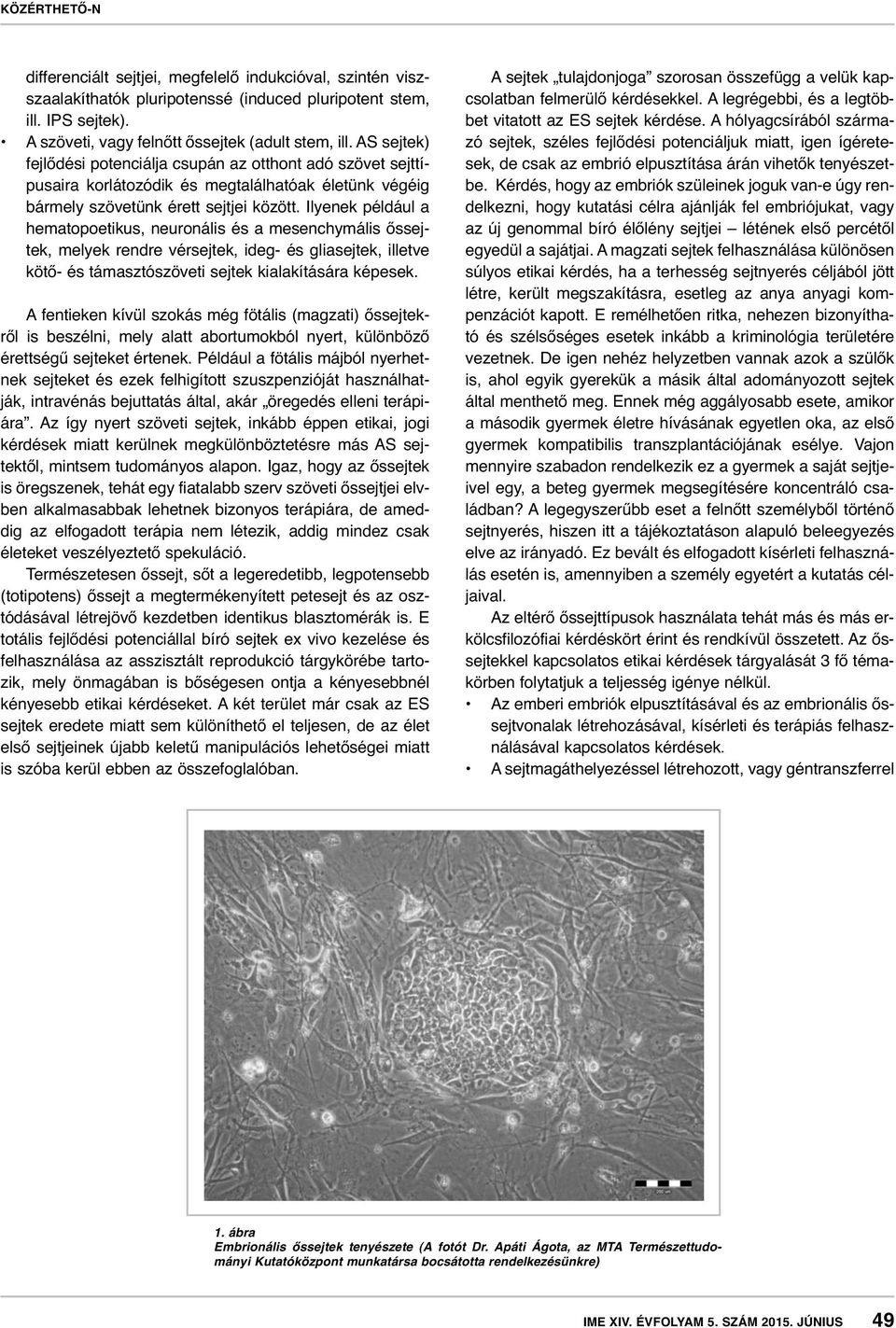 Ilyenek például a hematopoetikus, neuronális és a mesenchymális őssejtek, melyek rendre vérsejtek, ideg- és gliasejtek, illetve kötő- és támasztószöveti sejtek kialakítására képesek.