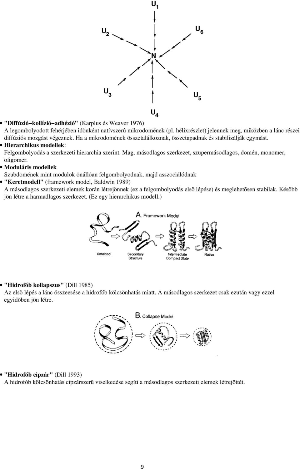 Mag, másodlagos szerkezet, szupermásodlagos, domén, monomer, oligomer.