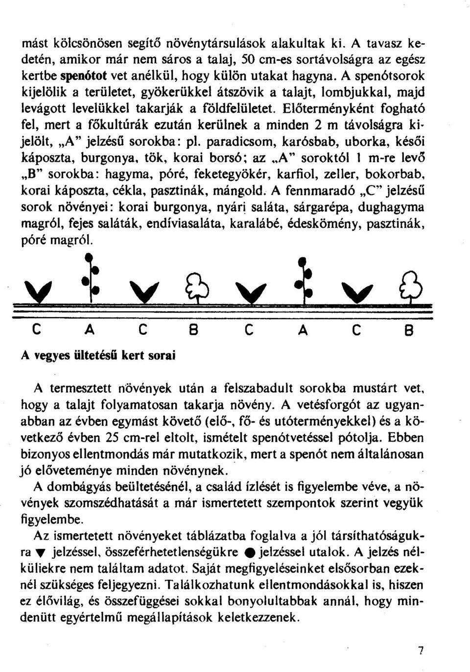 Előterményként fogható fel, mert a főkultúrák ezután kerülnek a minden 2 m távolságra ki jelölt, "A" jelzésű sorokba: pl. paradicsom, karósbab, uborka, késői káposzta, burgonya, tök, korai borsó; az.