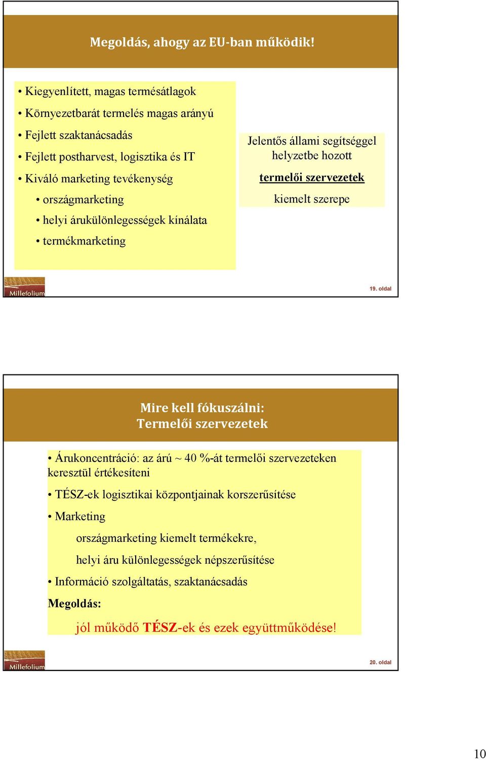 helyi árukülönlegességek kínálata termékmarketing Jelentıs állami segítséggel helyzetbe hozott termelıi szervezetek kiemelt szerepe 19.