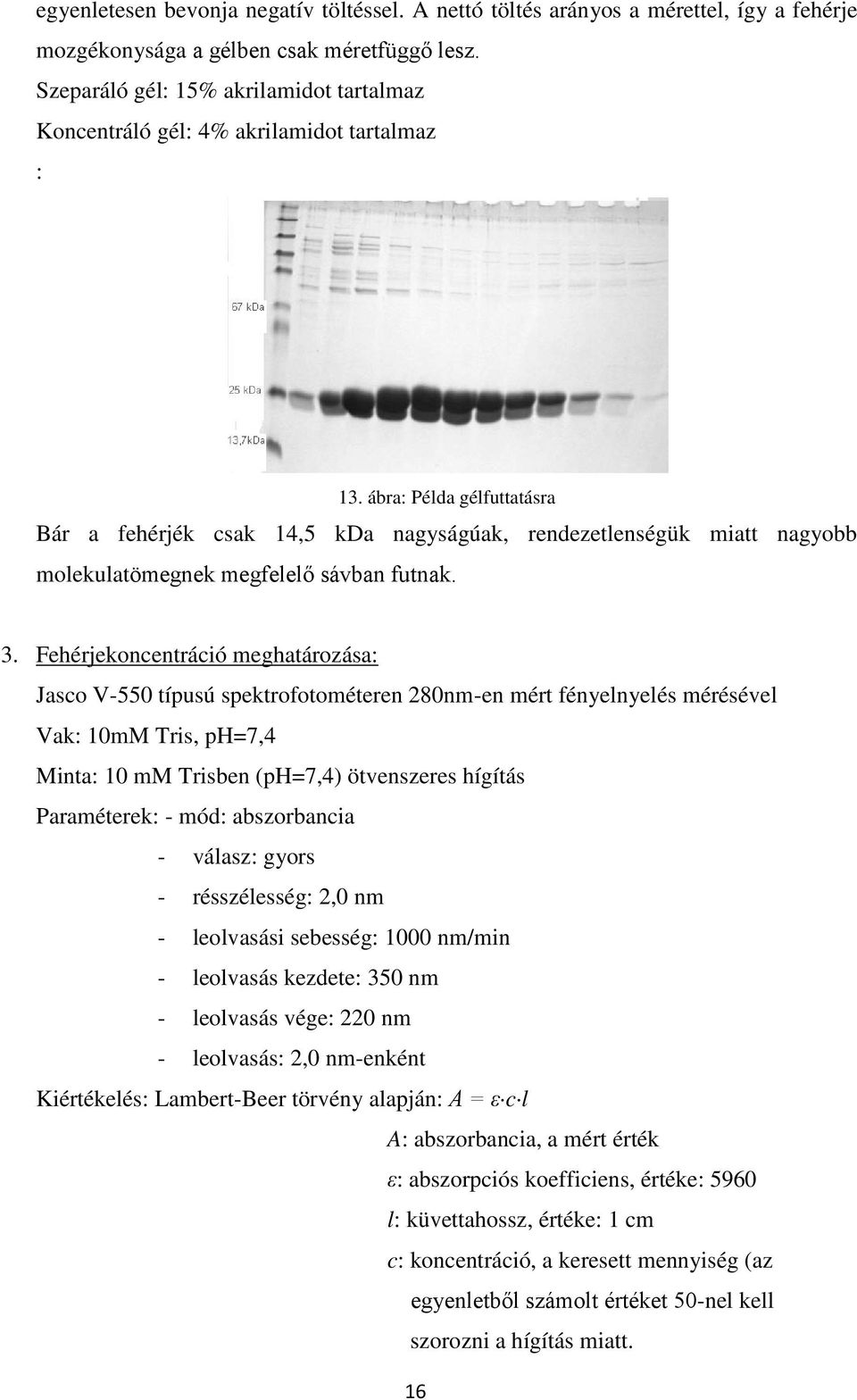 ábra: Példa gélfuttatásra Bár a fehérjék csak 14,5 kda nagyságúak, rendezetlenségük miatt nagyobb molekulatömegnek megfelelő sávban futnak. 3.