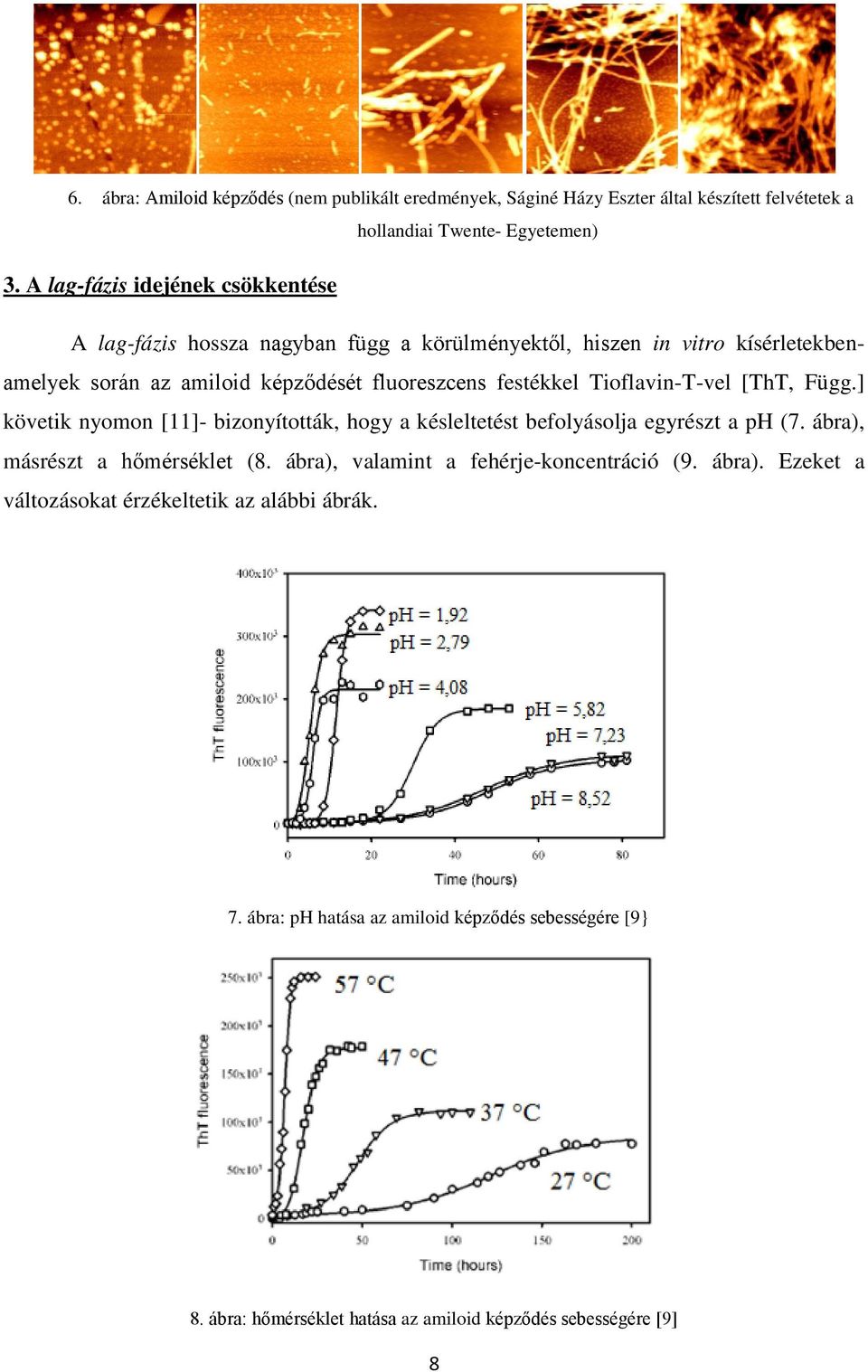 festékkel Tioflavin-T-vel [ThT, Függ.] követik nyomon [11]- bizonyították, hogy a késleltetést befolyásolja egyrészt a ph (7. ábra), másrészt a hőmérséklet (8.