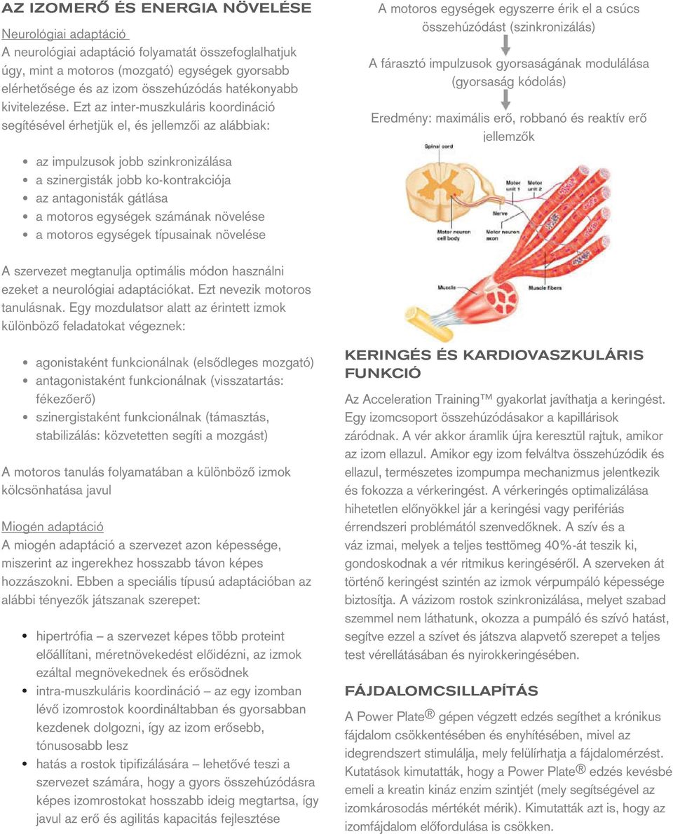 Ezt az inter-muszkuláris koordináció segítésével érhetjük el, és jellemzôi az alábbiak: az impulzusok jobb szinkronizálása a szinergisták jobb ko-kontrakciója az antagonisták gátlása a motoros