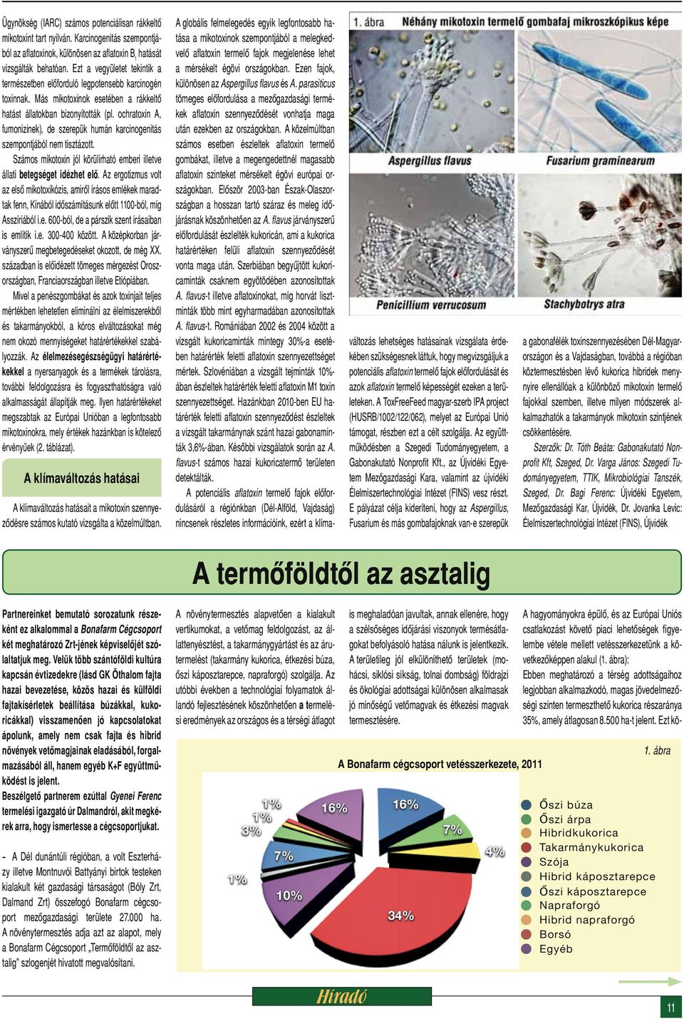 ochratoxin A, fumonizinek), de szerepük humán karcinogenitás szempontjából nem tisztázott. Számos mikotoxin jól körülírható emberi illetve állati betegséget idézhet elő.