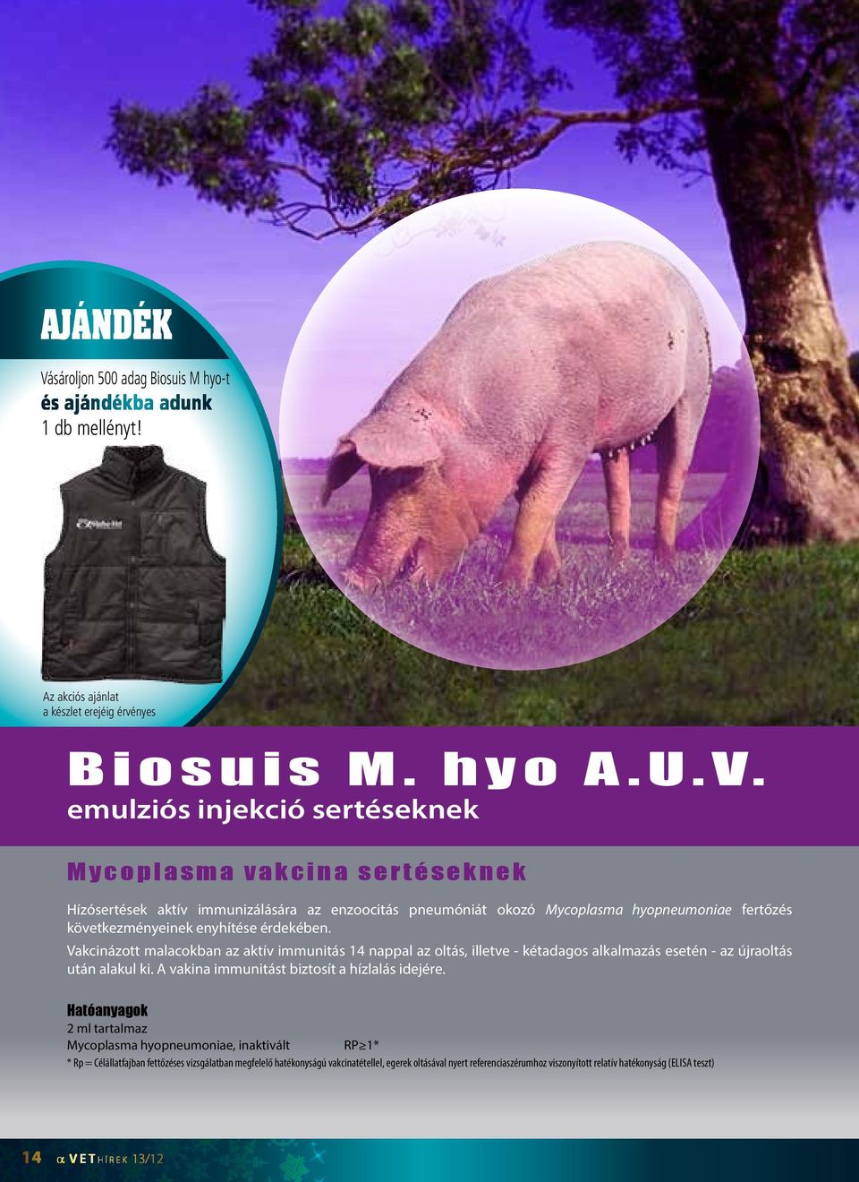 emulziós injekció sertéseknek Mycoplasma vakcina sertéseknek Hízósertések aktív immunizálására az enzoocitás pneumóniát okozó Mycoplasma hyopneumoniae fertőzés következményeinek enyhítése érdekében.