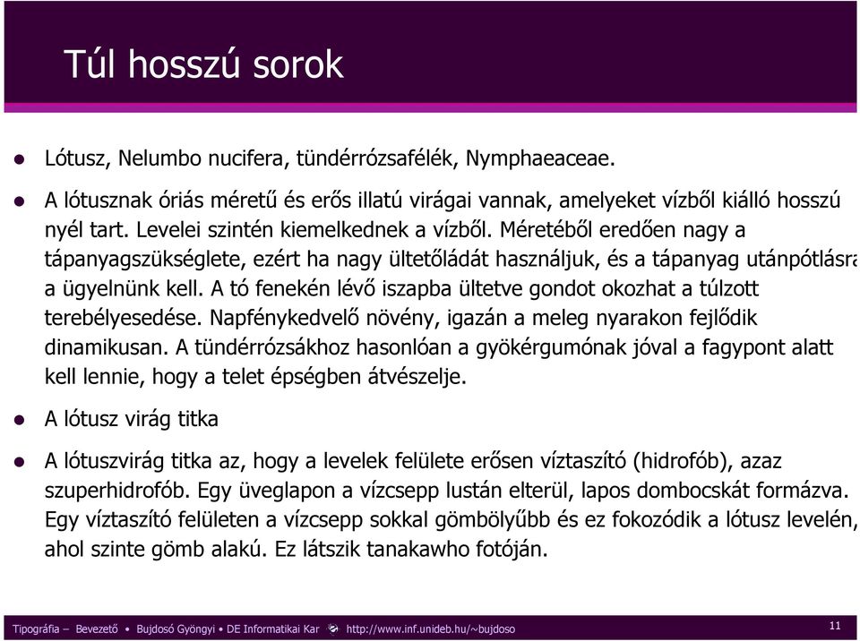 A tó fenekén lévı iszapba ültetve gondot okozhat a túlzott terebélyesedése. Napfénykedvelı növény, igazán a meleg nyarakon fejlıdik dinamikusan.