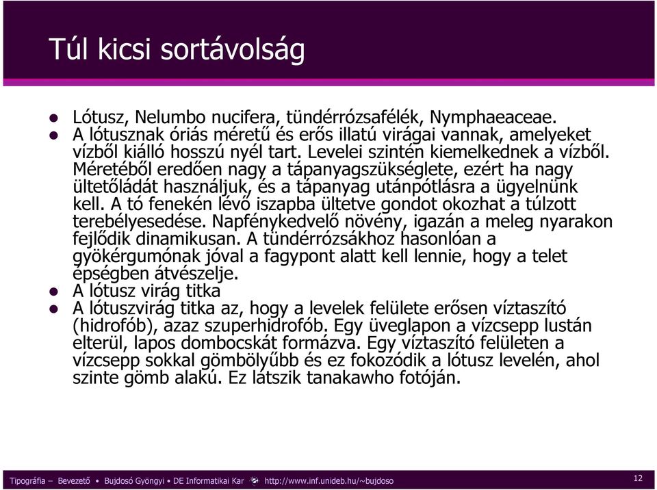 A tó fenekén lévı iszapba ültetve gondot okozhat a túlzott terebélyesedése. Napfénykedvelı növény, igazán a meleg nyarakon fejlıdik dinamikusan.