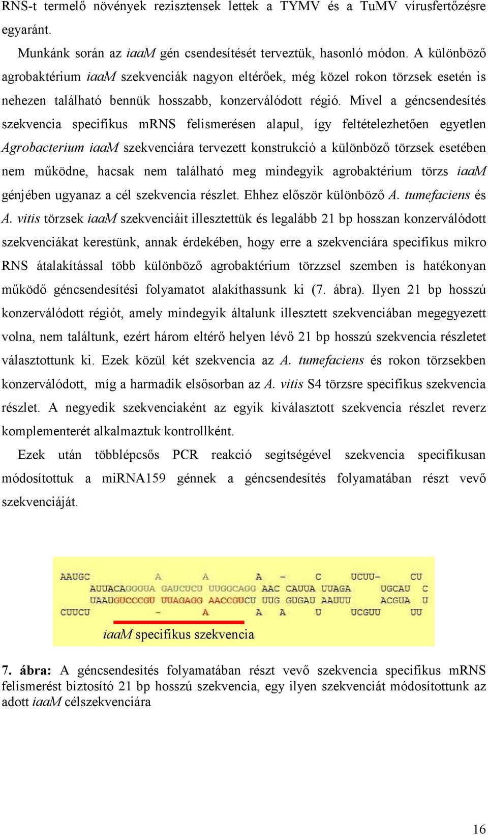 Mivel a géncsendesítés szekvencia specifikus mrns felismerésen alapul, így feltételezhetően egyetlen Agrobacterium iaam szekvenciára tervezett konstrukció a különböző törzsek esetében nem működne,