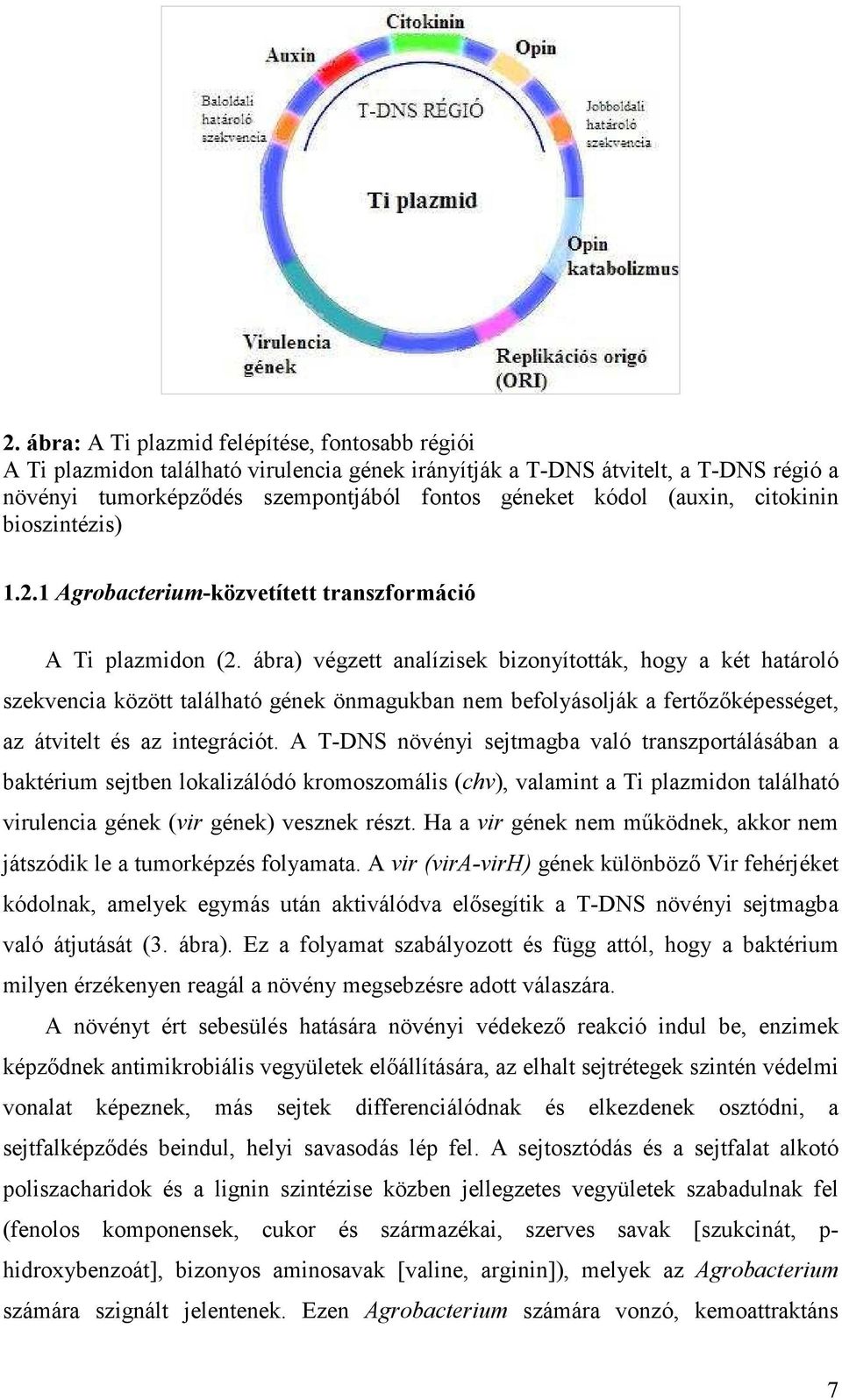 ábra) végzett analízisek bizonyították, hogy a két határoló szekvencia között található gének önmagukban nem befolyásolják a fertőzőképességet, az átvitelt és az integrációt.