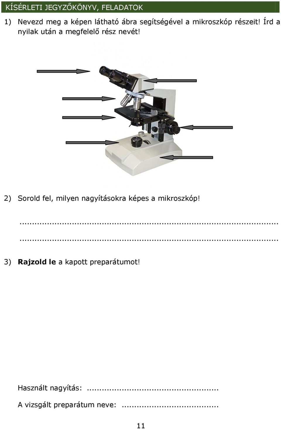 Írd a nyilak után a megfelelő rész nevét!