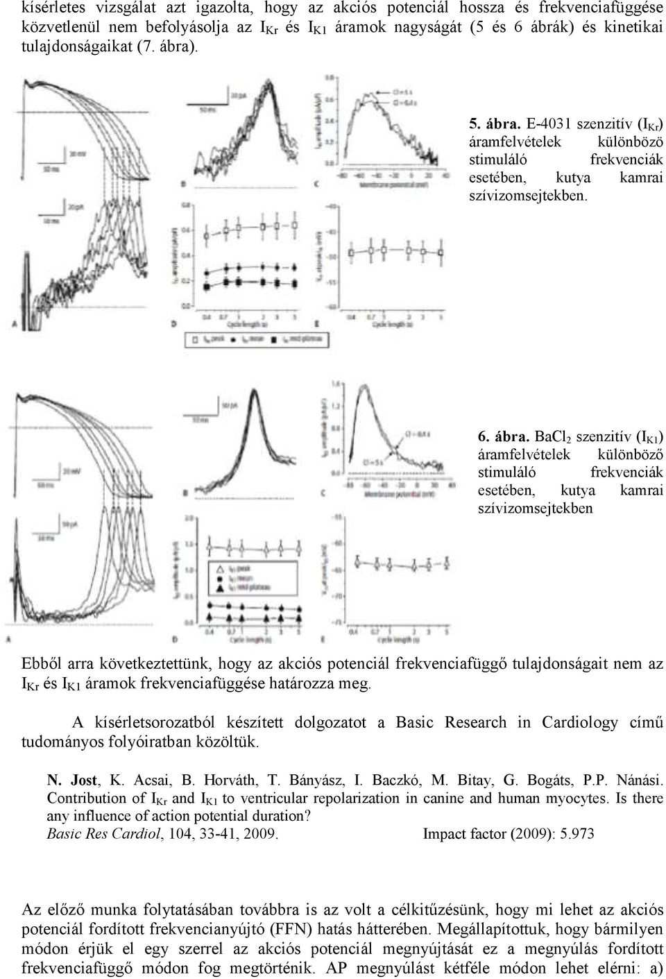 E-4031 szenzitív (I Kr ) áramfelvételek különbözö stimuláló frekvenciák esetében, kutya kamrai szívizomsejtekben. 6. ábra.