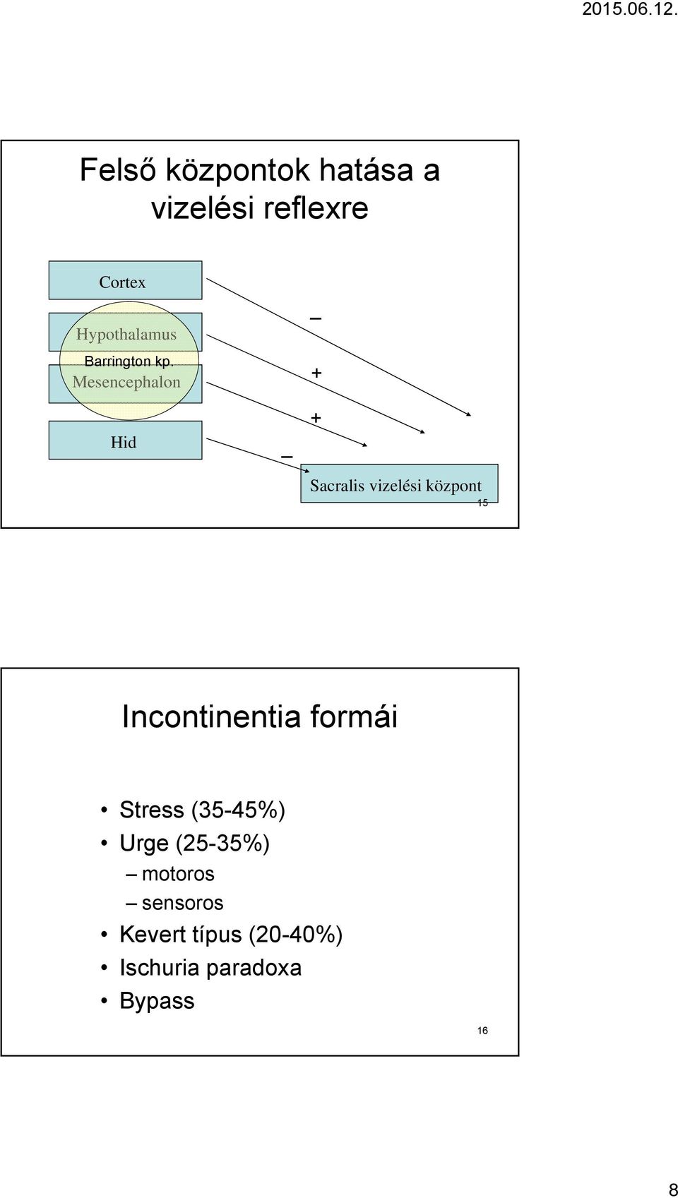 Mesencephalon Hid + + Sacralis vizelési központ 15