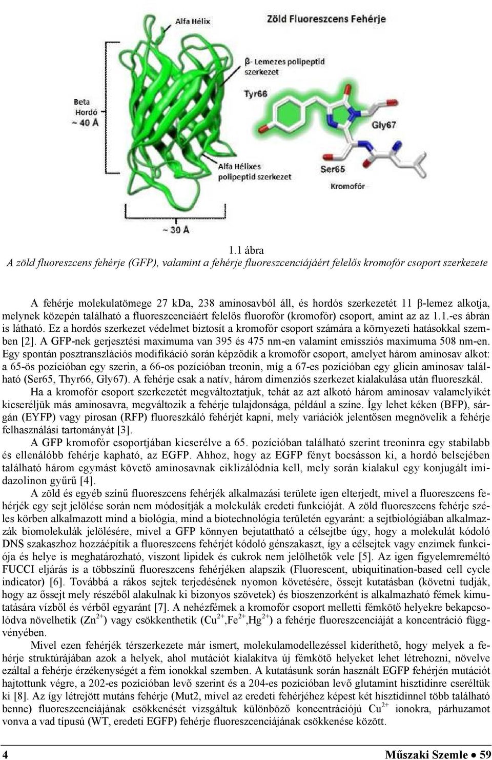 Ez a hordós szerkezet védelmet biztosít a kromofór csoport számára a környezeti hatásokkal szemben [2]. A GFP-nek gerjesztési maximuma van 395 és 475 nm-en valamint emissziós maximuma 508 nm-en.