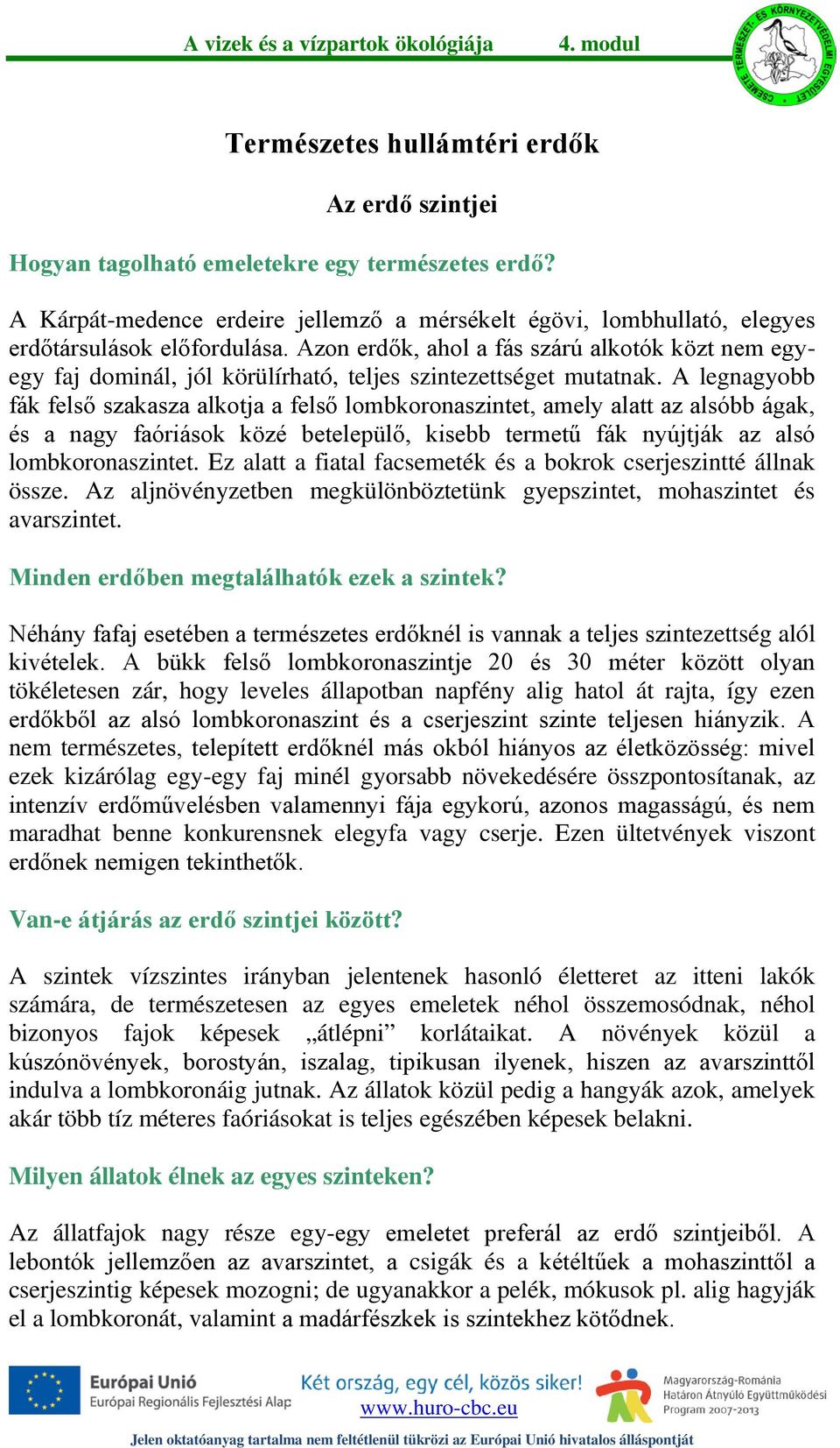 A legnagyobb fák felső szakasza alkotja a felső lombkoronaszintet, amely alatt az alsóbb ágak, és a nagy faóriások közé betelepülő, kisebb termetű fák nyújtják az alsó lombkoronaszintet.