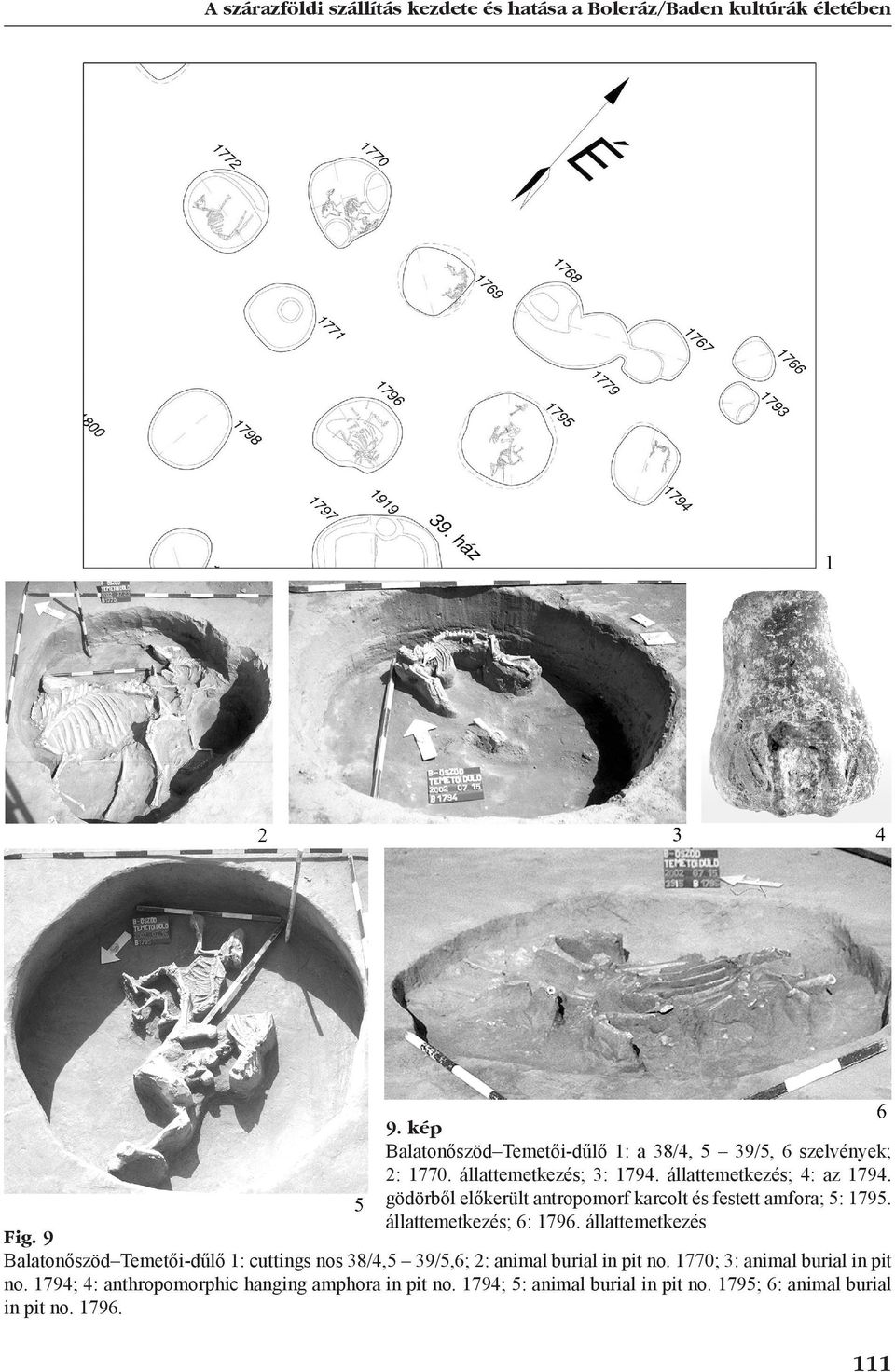 gödörből előkerült antropomorf karcolt és festett amfora; 5: 1795. ál lattemetkezés; 6: 1796. állattemetkezés Fig.