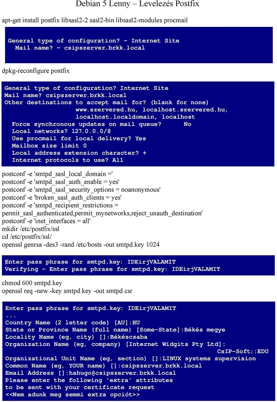 szervered.hu, localhost.localdomain, localhost Force synchronous updates on mail queue? No Local networks? 127.0.0.0/8 Use procmail for local delivery?