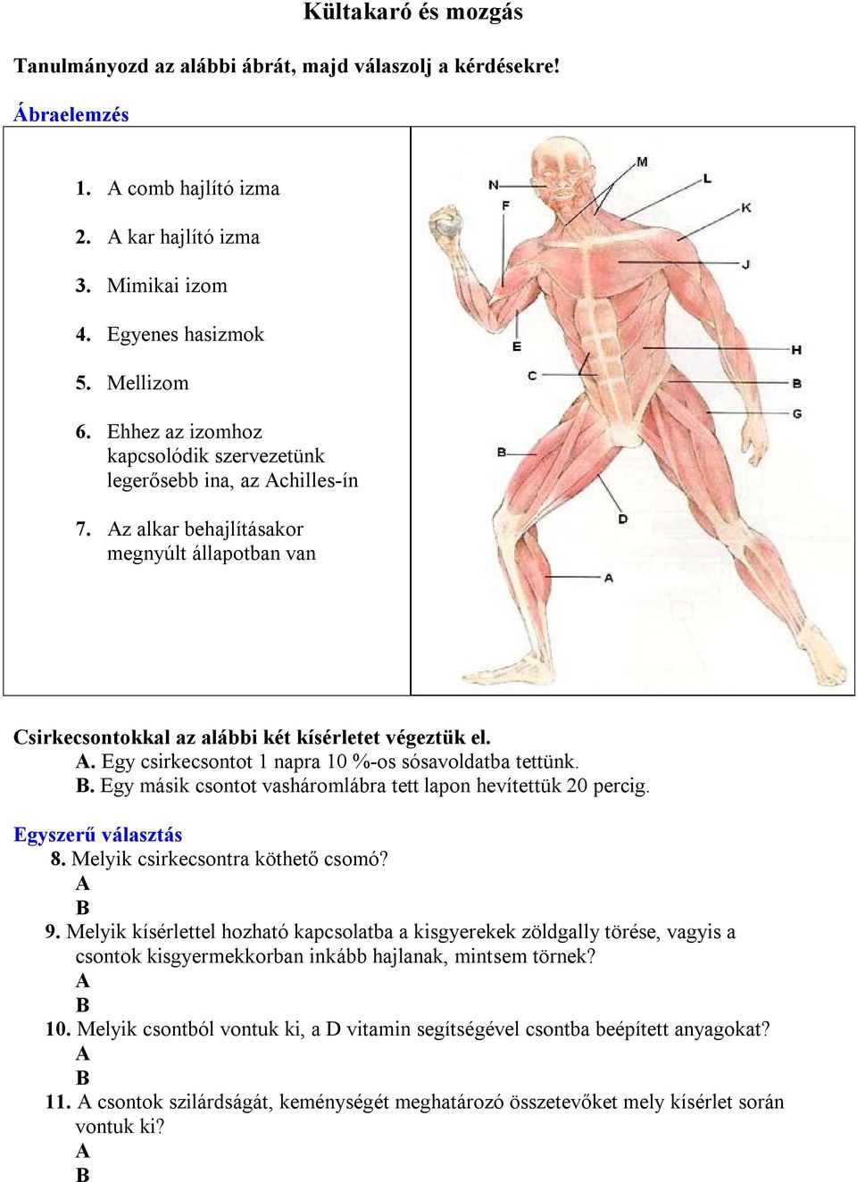 B. Egy másik csontot vasháromlábra tett lapon hevítettük 20 percig. Egyszerű választás 8. Melyik csirkecsontra köthető csomó? A B 9.