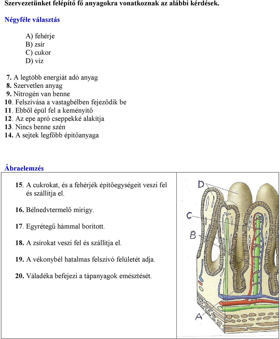 Nincs benne szén 14. A sejtek legfőbb építőanyaga 15. A cukrokat, és a fehérjék építőegységeit veszi fel és szállítja el. 16. Bélnedvtermelő mirigy. 17.