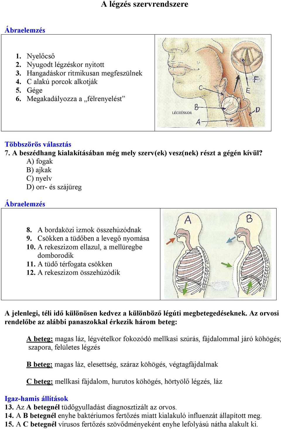 Csökken a tüdőben a levegő nyomása 10. A rekeszizom ellazul, a mellüregbe domborodik 11. A tüdő térfogata csökken 12.