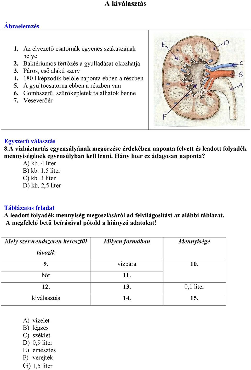 A vízháztartás egyensúlyának megőrzése érdekében naponta felvett és leadott folyadék mennyiségének egyensúlyban kell lenni. Hány liter ez átlagosan naponta? A) kb. 4 liter B) kb. 1.5 liter C) kb.
