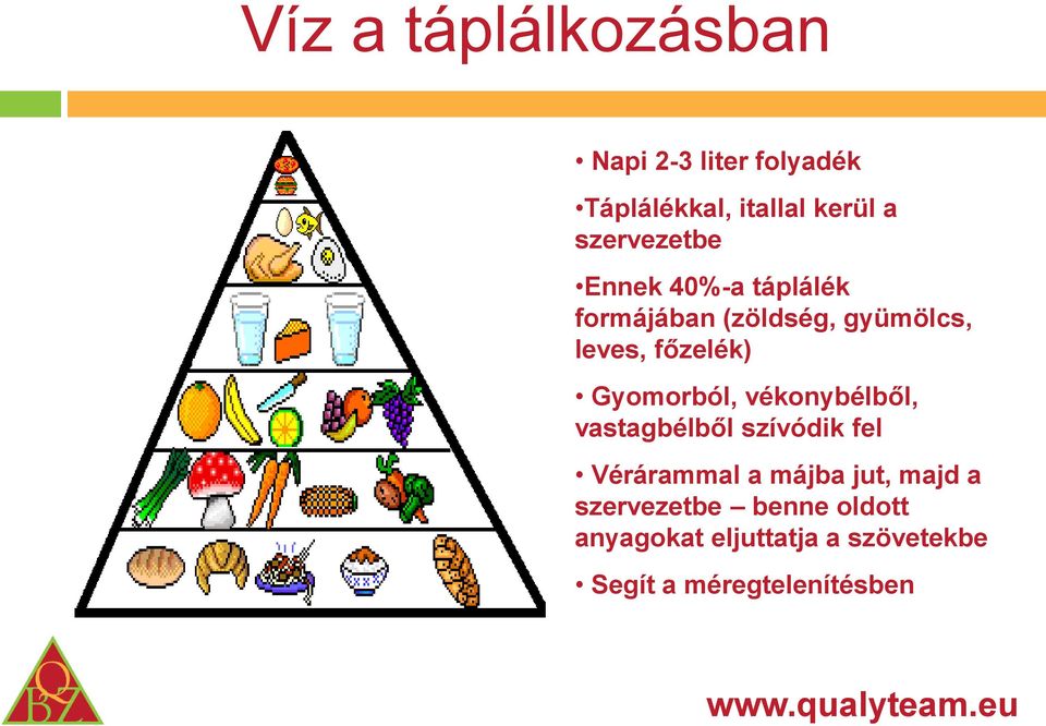 Gyomorból, vékonybélből, vastagbélből szívódik fel Vérárammal a májba jut, majd