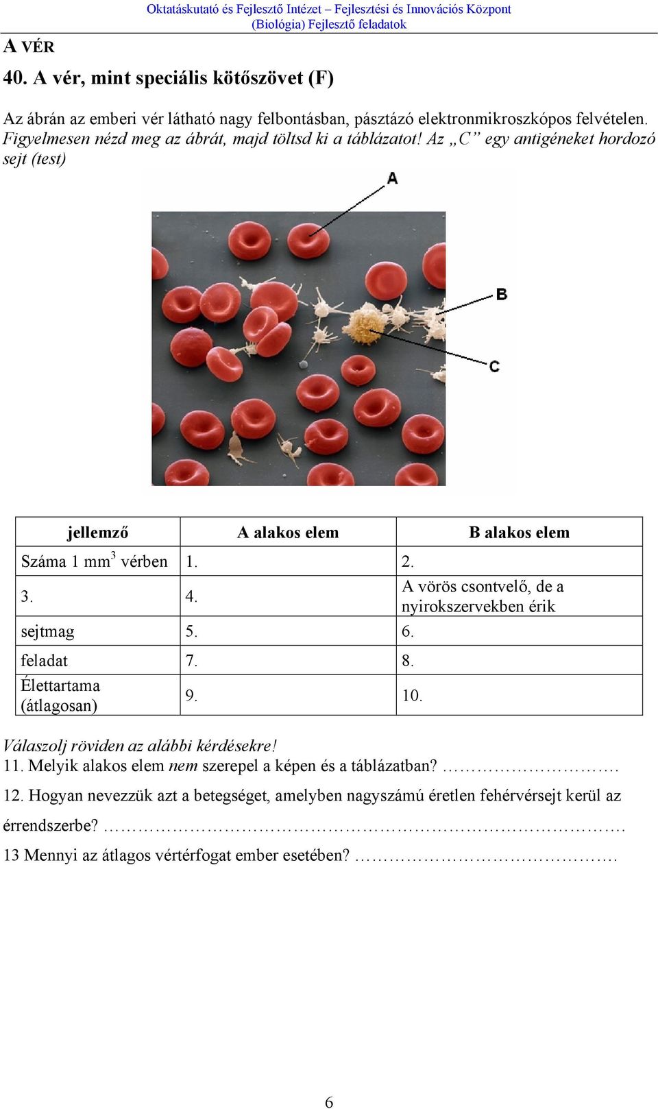 A vörös csontvelő, de a nyirokszervekben érik sejtmag 5. 6. feladat 7. 8. Élettartama (átlagosan) 9. 10. Válaszolj röviden az alábbi kérdésekre! 11.