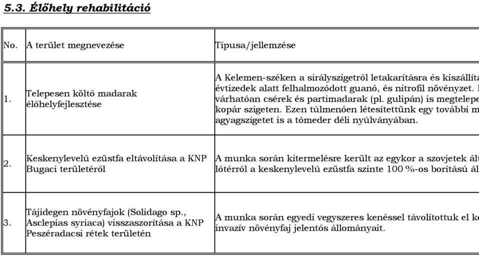 E várhatóan csérek és partimadarak (pl. gulipán) is megtelepe kopár szigeten. Ezen túlmenően létesítettünk egy további m agyagszigetet is a tómeder déli nyúlványában. 2.