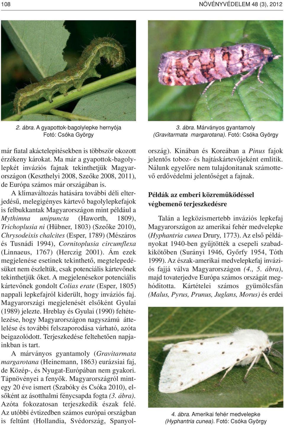 Ma már a gyapottok-bagolylepkét inváziós fajnak tekinthetjük Magyarországon (Keszthelyi 2008, Szeôke 2008, 2011), de Európa számos már országában is.