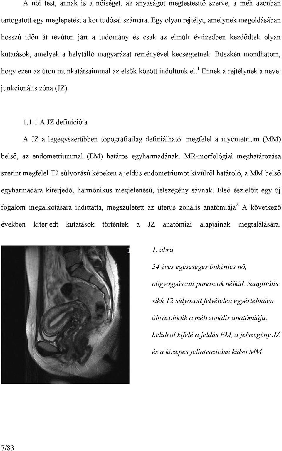 Büszkén mondhatom, hogy ezen az úton munkatársaimmal az elsők között indultunk el. 1 