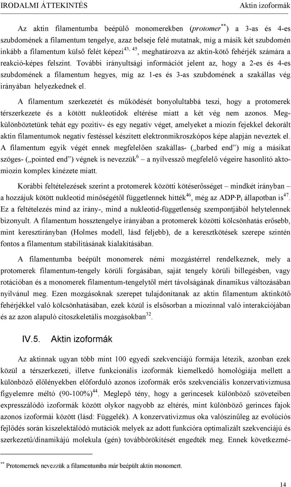 További irányultsági információt jelent az, hogy a 2-es és 4-es szubdomének a filamentum hegyes, míg az 1-es és 3-as szubdomének a szakállas vég irányában helyezkednek el.