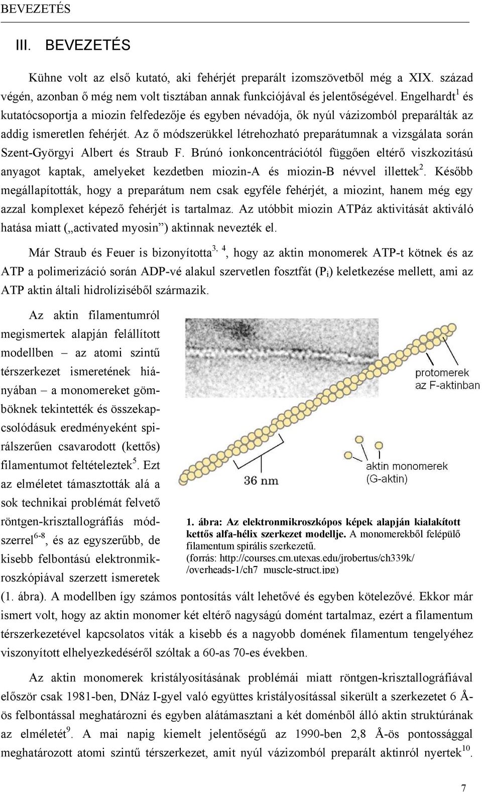 Az ő módszerükkel létrehozható preparátumnak a vizsgálata során Szent-Györgyi Albert és Straub F.