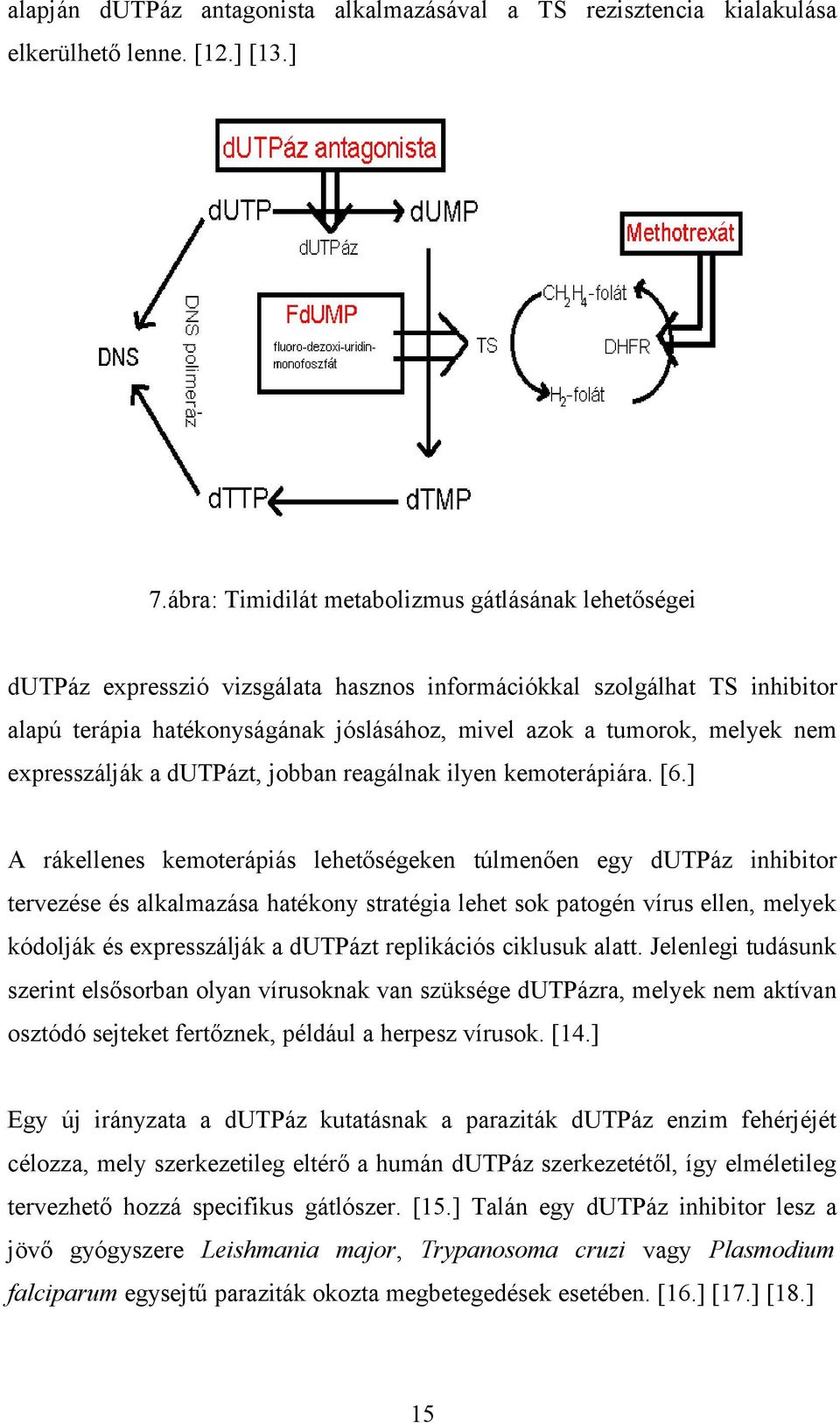 nem expresszálják a dutpázt, jobban reagálnak ilyen kemoterápiára. [6.