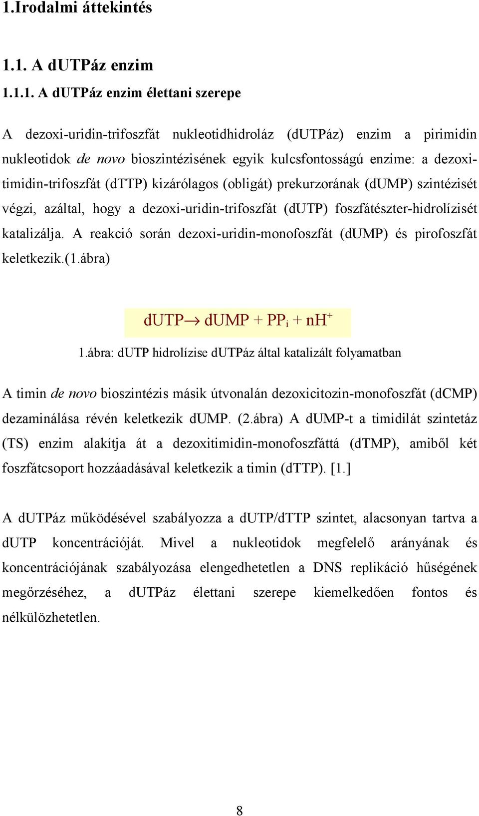 katalizálja. A reakció során dezoxi-uridin-monofoszfát (dump) és pirofoszfát keletkezik.(1.ábra) dutp dump + PPi + nh+ 1.