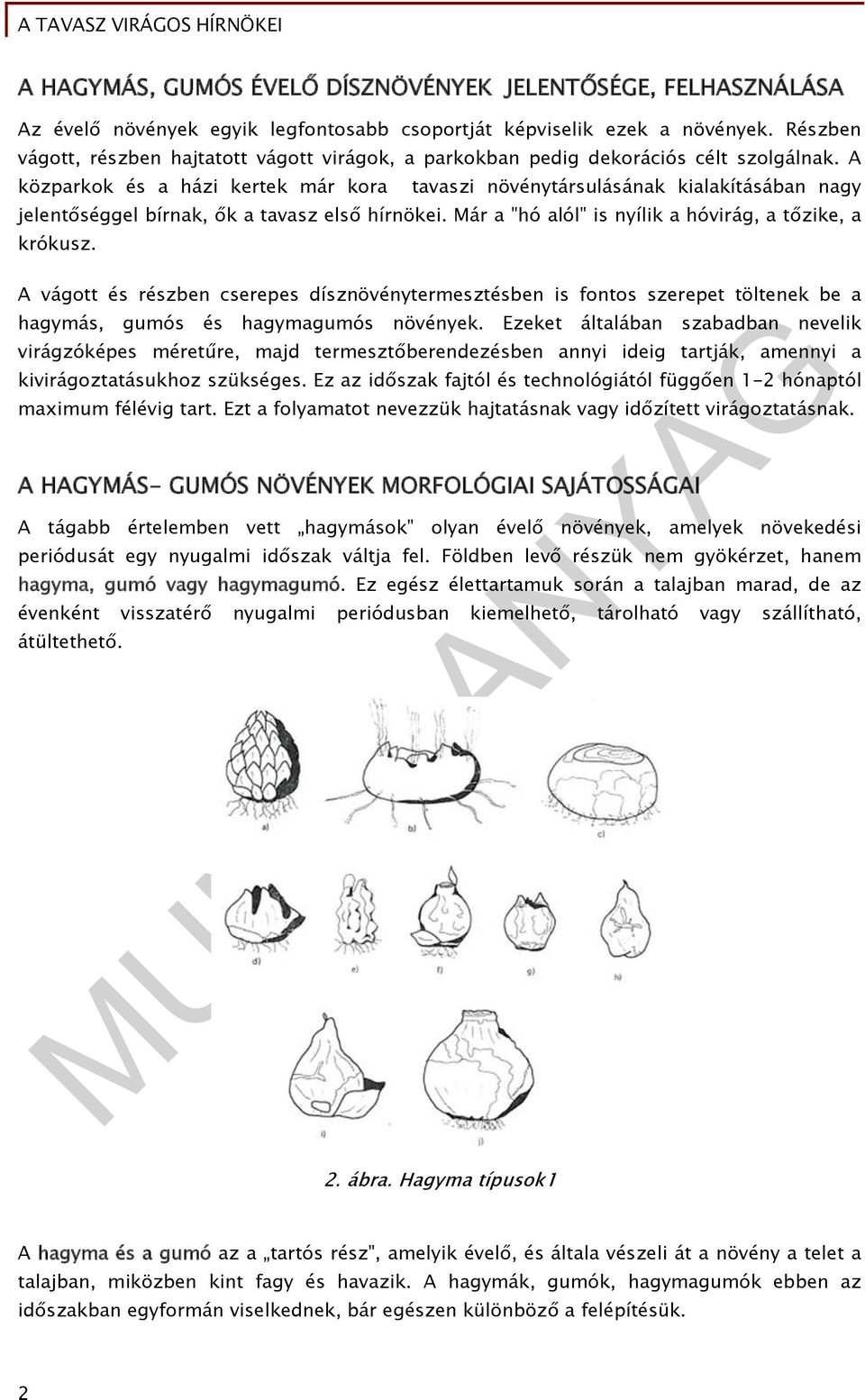 A közparkok és a házi kertek már kora tavaszi növénytársulásának kialakításában nagy jelentőséggel bírnak, ők a tavasz első hírnökei. Már a "hó alól" is nyílik a hóvirág, a tőzike, a krókusz.