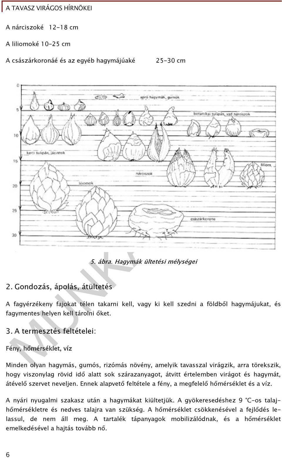 A termesztés feltételei: Fény, hőmérséklet, víz Minden olyan hagymás, gumós, rizómás növény, amelyik tavasszal virágzik, arra törekszik, hogy viszonylag rövid idő alatt sok szárazanyagot, átvitt