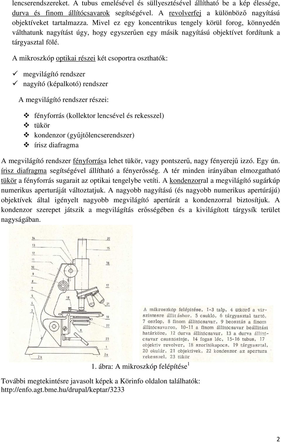 A mikroszkóp optikai részei két csoportra oszthatók: megvilágító rendszer nagyító (képalkotó) rendszer A megvilágító rendszer részei: fényforrás (kollektor lencsével és rekesszel) tükör kondenzor