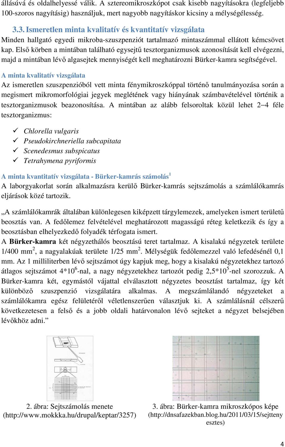 Elsı körben a mintában található egysejtő tesztorganizmusok azonosítását kell elvégezni, majd a mintában lévı algasejtek mennyiségét kell meghatározni Bürker-kamra segítségével.