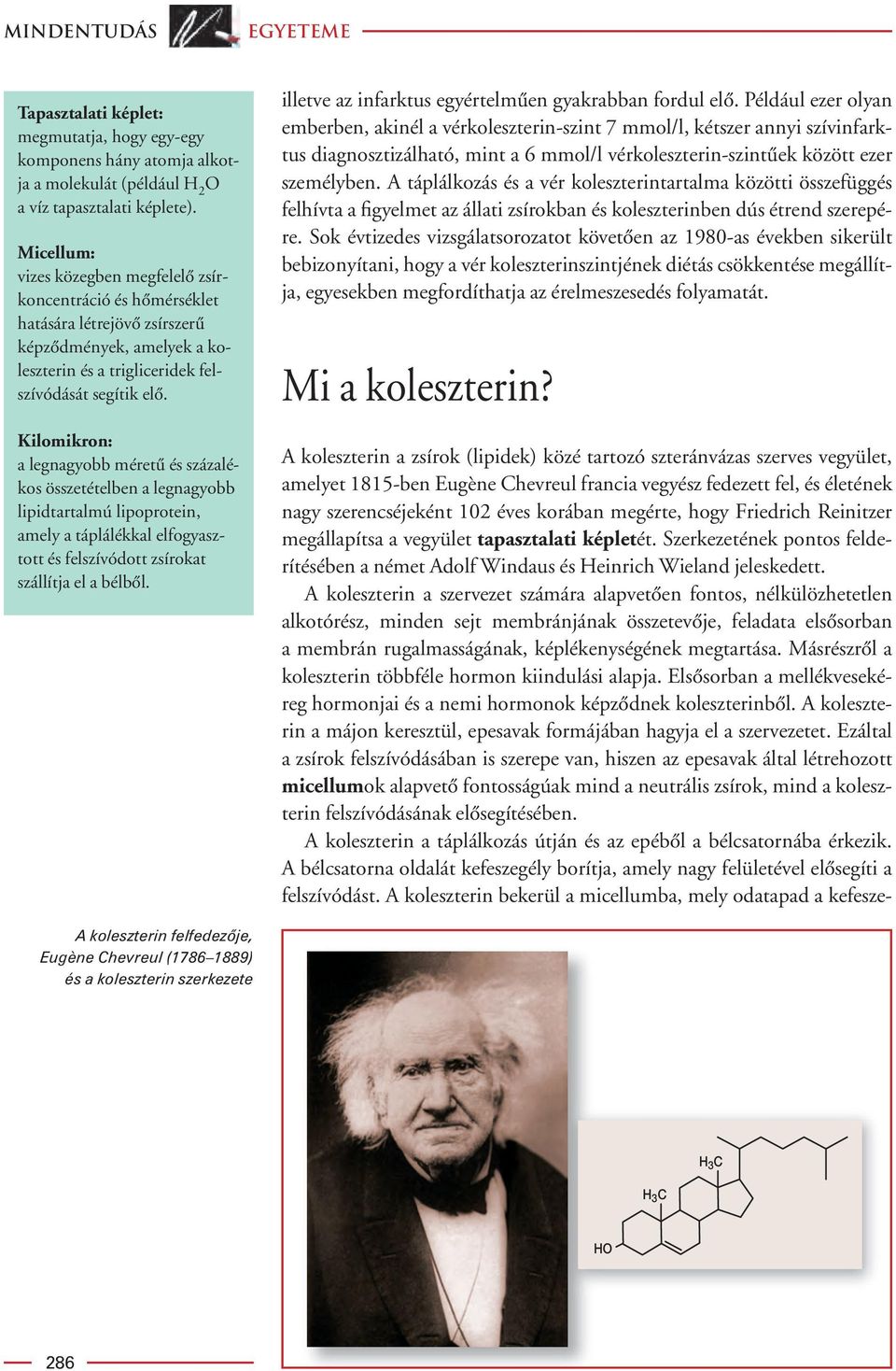 Kilomikron: a legnagyobb méretû és százalékos összetételben a legnagyobb lipidtartalmú lipoprotein, amely a táplálékkal elfogyasztott és felszívódott zsírokat szállítja el a bélbôl.