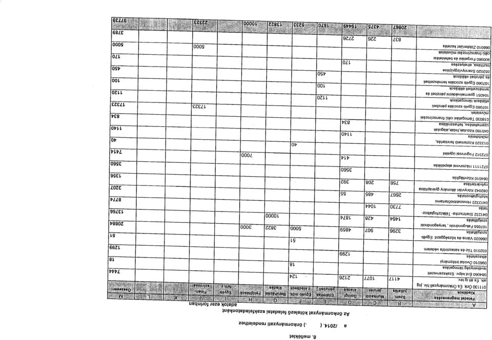 Szakszen/ezetl tevekenyseg lamogalasa 18 096010 6vodai intezmenyi etkezetetes 1299 032010 Tuz-es katasztrdta v6delem BcruhizisI kladas Feliilitasok Egyib fclhc 51 066020 Varos-es kflzsaggazd.