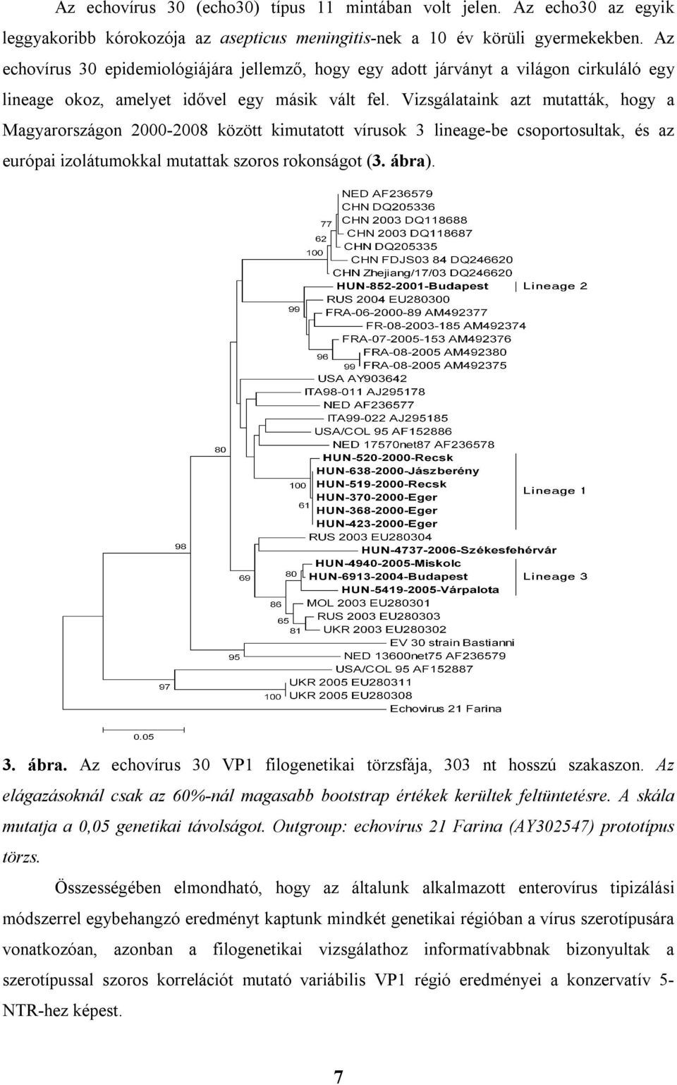 Vizsgálataink azt mutatták, hogy a Magyarországon 2000-2008 között kimutatott vírusok 3 lineage-be csoportosultak, és az európai izolátumokkal mutattak szoros rokonságot (3. ábra)