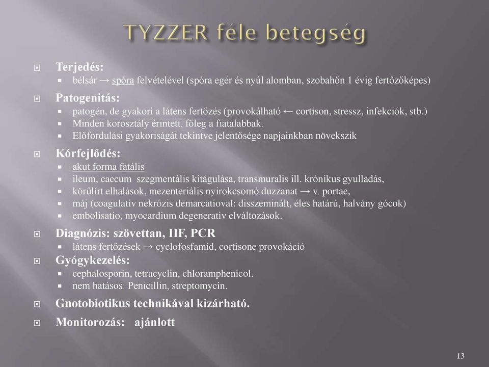 Előfordulási gyakoriságát tekintve jelentősége napjainkban növekszik Kórfejlődés: akut forma fatális ileum, caecum szegmentális kitágulása, transmuralis ill.