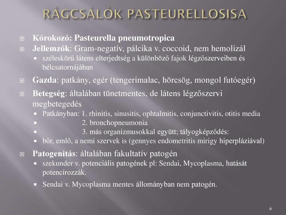 Betegség: általában tünetmentes, de látens légzőszervi megbetegedés Patkányban: 1. rhinitis, sinusitis, ophtalmitis, conjunctivitis, otitis media 2. bronchopneumonia 3.