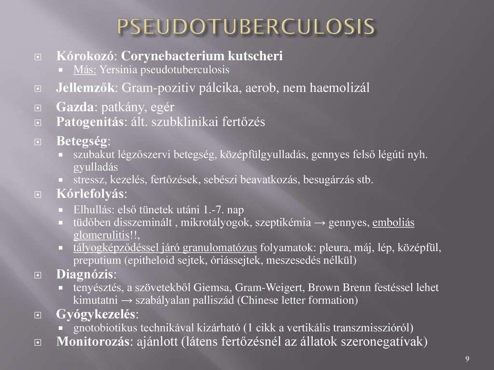 Kórlefolyás: Elhullás: első tünetek utáni 1.-7. nap tüdőben disszeminált, mikrotályogok, szeptikémia gennyes, emboliás glomerulitis!