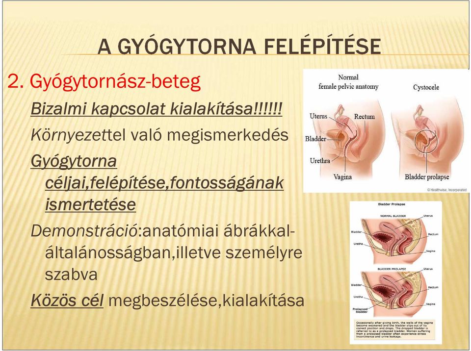 céljai,felépítése,fontosságának ismertetése