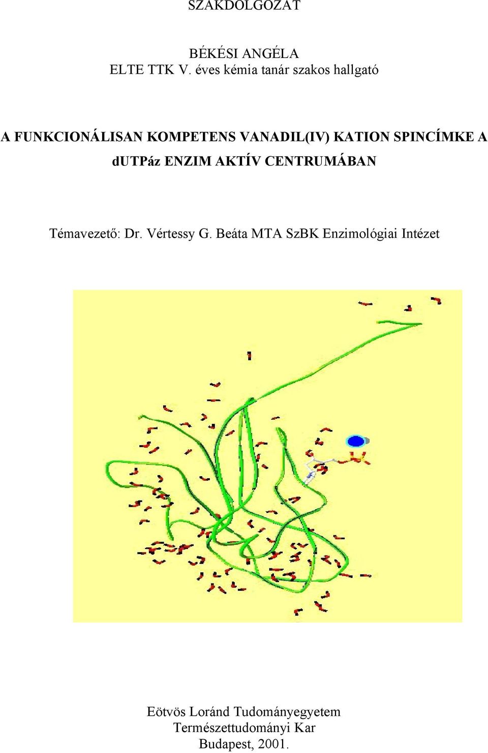KATION SPINCÍMKE A dutpáz ENZIM AKTÍV CENTRUMÁBAN Témavezető: Dr.