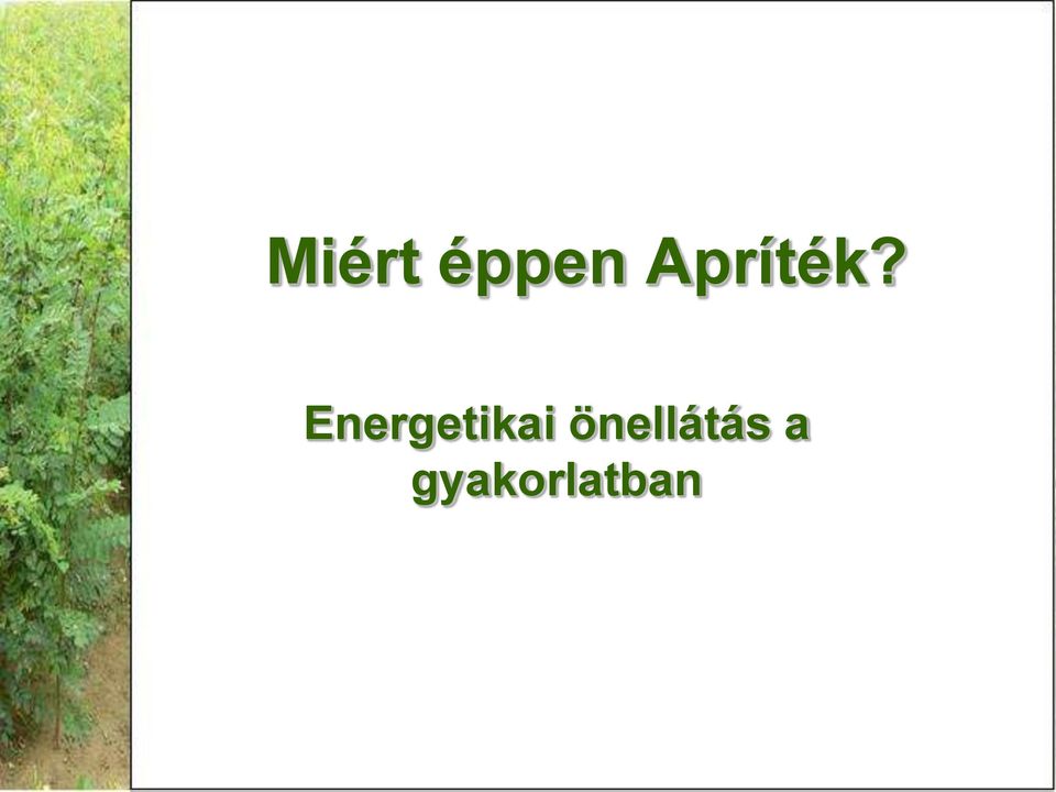 Energetikai