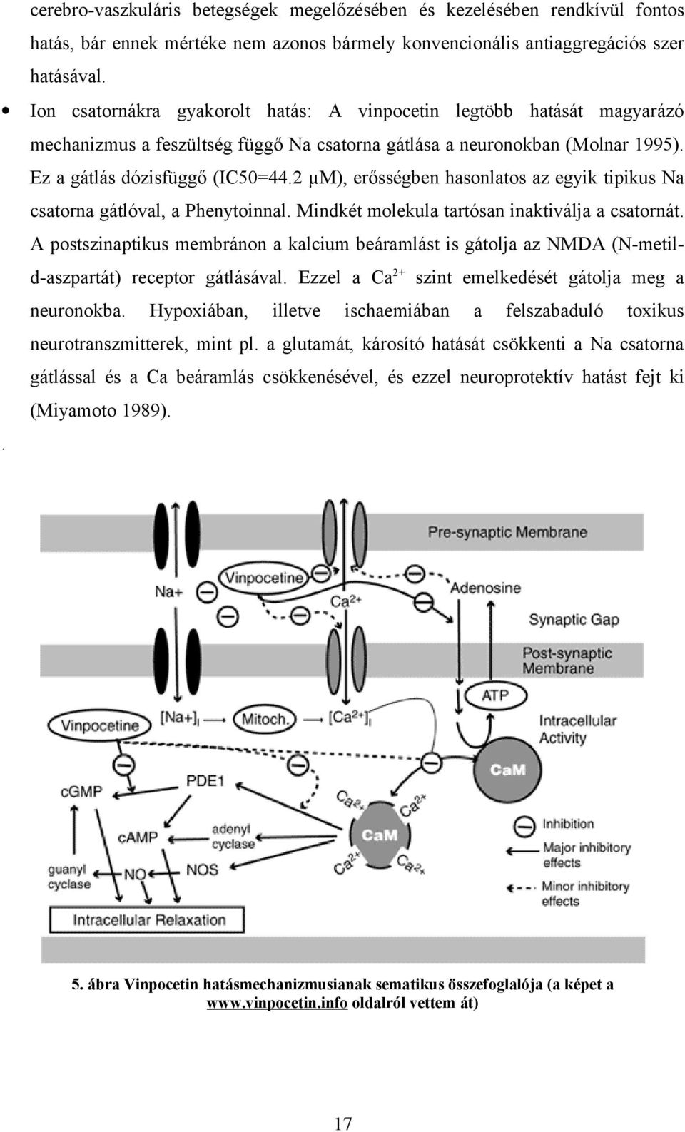 2 µm), erősségben hasonlatos az egyik tipikus Na csatorna gátlóval, a Phenytoinnal. Mindkét molekula tartósan inaktiválja a csatornát.
