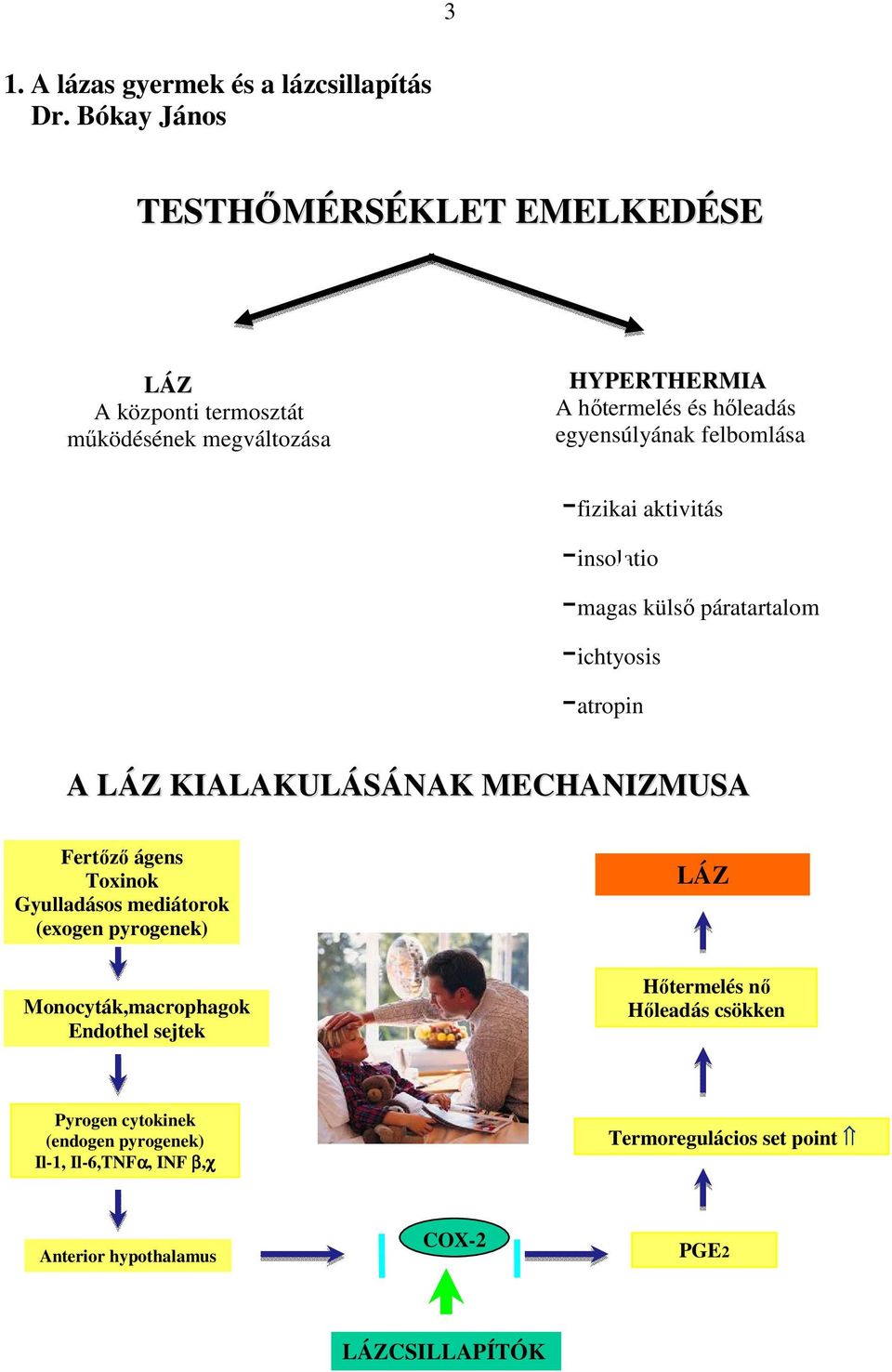 felbomlása -fizikai aktivitás -insolatio -magas külsı páratartalom -ichtyosis -atropin A LÁZ KIALAKULÁSÁNAK MECHANIZMUSA - Fertızı ágens Toxinok