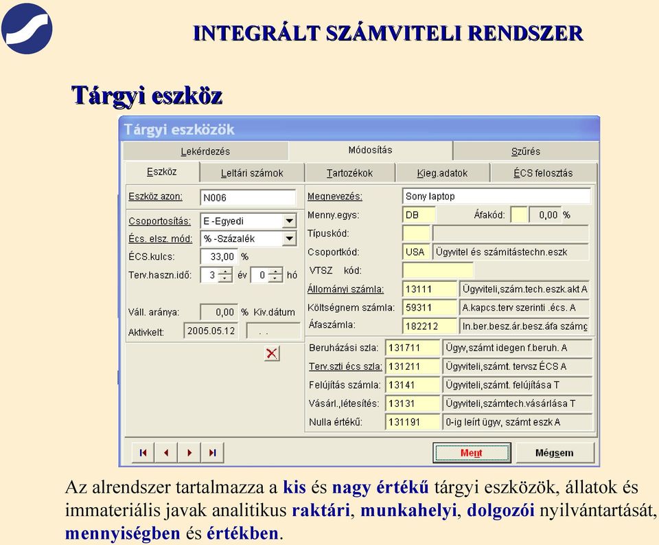 eszközök, állatok és immateriális javak analitikus