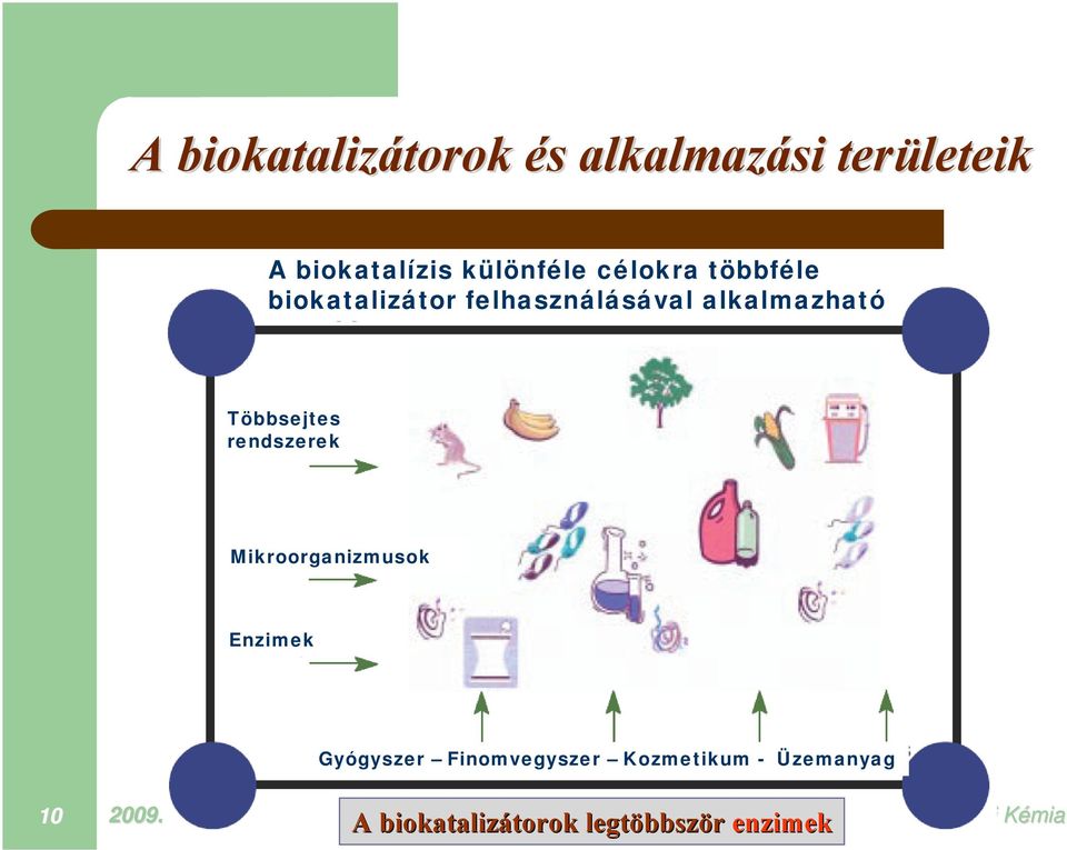 Többsejtes rendszerek Mikroorganizmusok Enzimek Gyógyszer Finomvegyszer